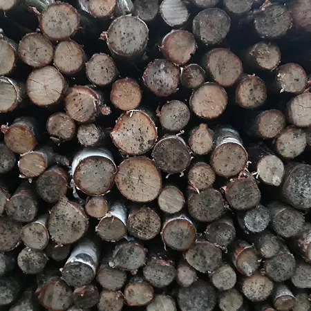 Krogsgaarden 3* Nibe