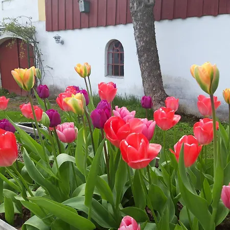 Bed & Breakfast Krogsgaarden