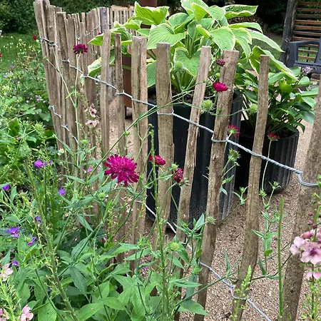 Krogsgaarden 3* Nibe