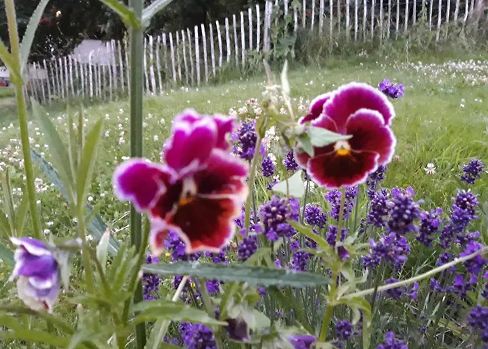 Krogsgaarden