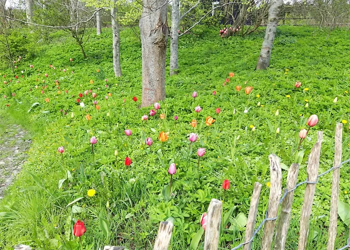 Frühstückspension Krogsgaarden Nibe